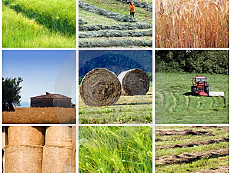 El ETF de materias primas agrícolas en mínimos históricos